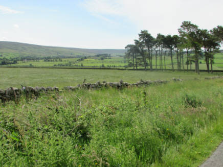 Views over to the heather moorland near Curlew Cottage self catering holiday cottage North Pennines near Hadrian's Wall Hexham and Corbridge Northumberland North East England UK
